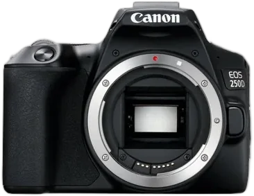Фотоаппарат Canon EOS 250D Body