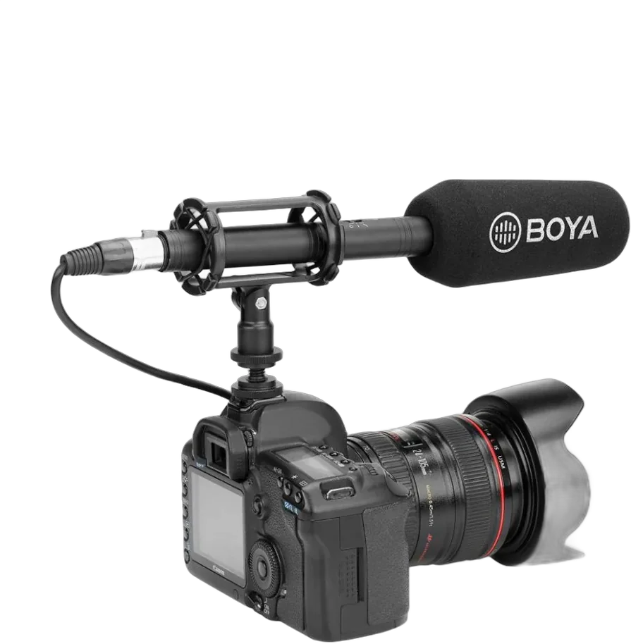 Выносной Boya BY-PVM3000S