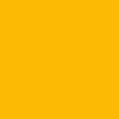 Фон бумажный Forsythia yellow 14 2,72x10м (желтая форзиция)