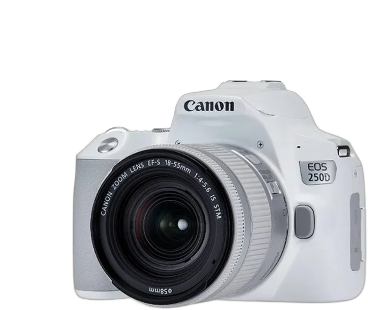 Фотоаппарат Canon EOS 250D kit 18-55mm f/3.5-5.6 IS STM серебристый