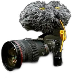 Выносной Deity V-Mic D4 DUO