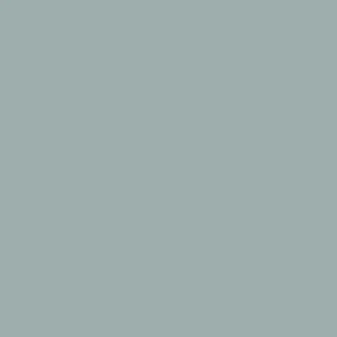 Фон бумажный Pursuit Grey 21 2,72x10м (серый)