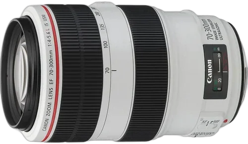 Объектив Canon EF 70-300mm f/4.0-5.6L IS USM