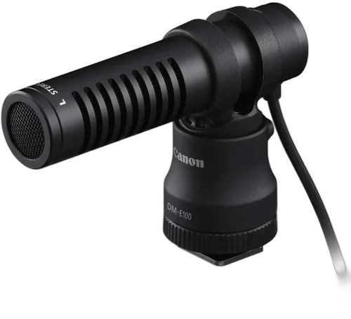 Выносной Canon DM-E100