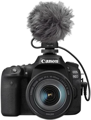 Выносной Canon DM-E100