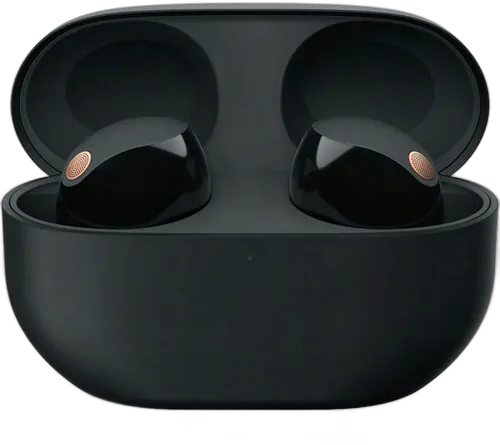 Наушники Sony WF-1000XM5 Noise-Canceling True Wireless In-Ear Headphones