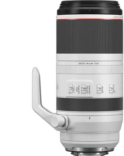 Объектив Canon RF 100-500mm f/4.5-7.1 L IS USM 2 года